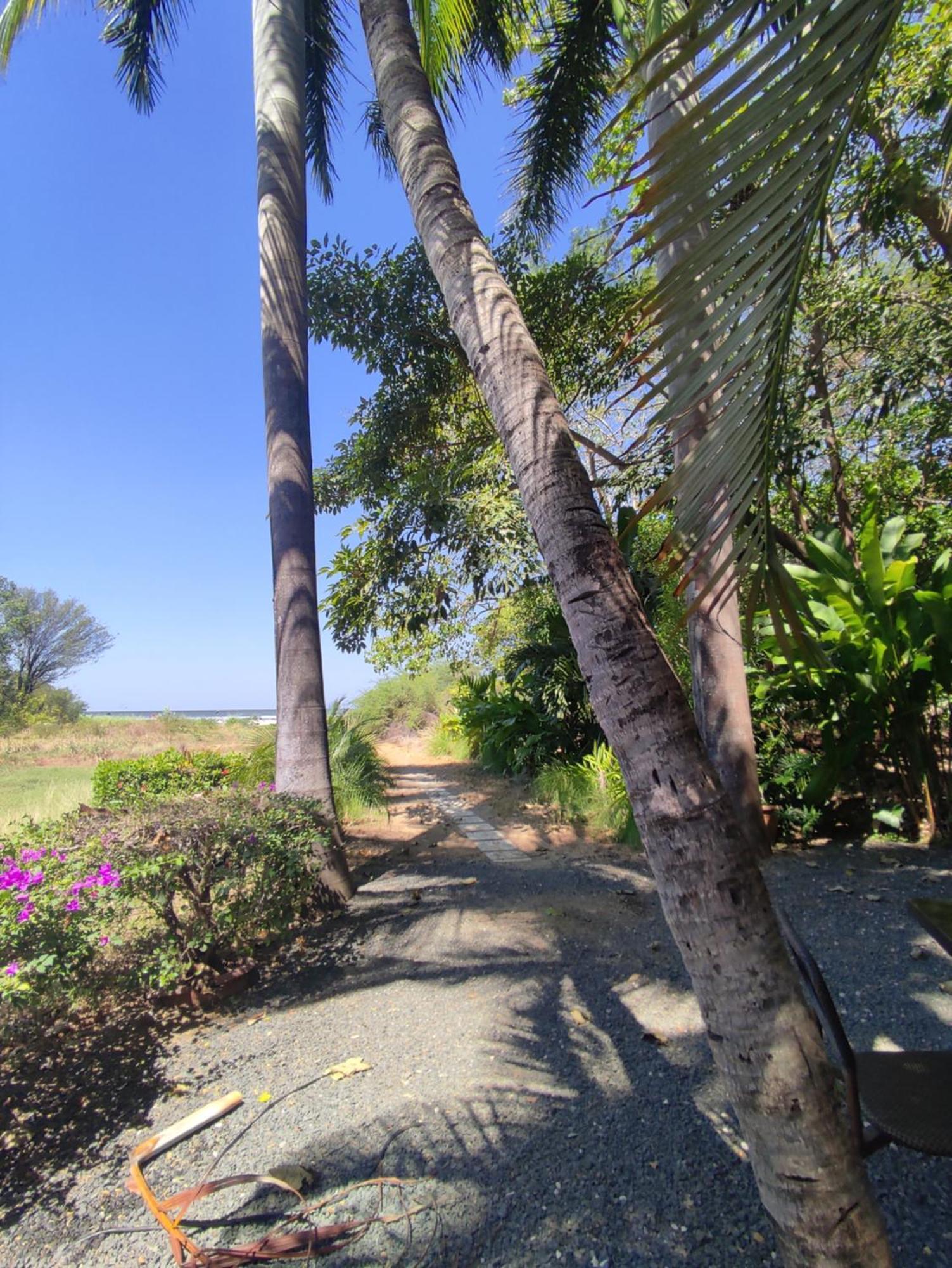 Hotel Laguna Del Cocodrilo Tamarindo Kültér fotó
